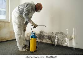 Best Mold Damage Restoration in Tiburon, CA